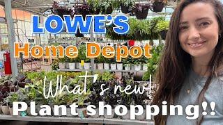 Plant Shopping Big Box Stores! | What's new at Lowe's and Home Depot | May 2022