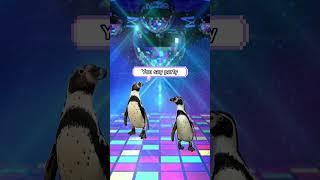 Дискотека века #пингвины #животные #птицы #пингвин #penguin #penguins