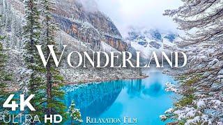 Wonderland 4K - Scenic Relaxation Film with Peaceful Relaxing Music and Winter Nature Video Ultra HD