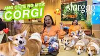 PUMUNTA SA ISLA CORGI SA SIARGAO! (ANG CUTE NG MGA CORGI!)