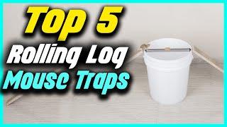 Top 5 Best Rolling Log Mouse Traps Reviews 2022