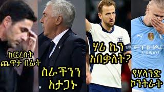 የጥር ዝውውሮች ትኩረት:: አርሰናል ከፎረስቱ ጨዋታ በፊት:: ሃሪ ኬን አበቃለት? አንቸሎቲ በአዝናኝ ቆይታ:: ሃላንድና ኮንትራቱ..