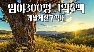 [NO.17]임야300평 1억5백만원!!!