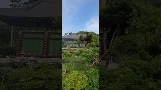 죽은 길냥이를 위한 나무아미타불