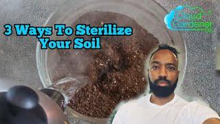 3 Ways To Sterilize Your Soil