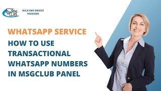 How to use Transactional Whatsapp Number in Msgclub Panel | Whatsapp Business | Bulk SMS Service