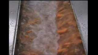 Nilma Atirmatic - continuous vegetable washer