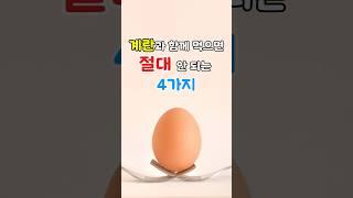 계란과 절대 함께 먹지 말아야 할 4가지 음식 총정리 #건강관리 #건강정보