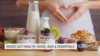 Why your gut health matters more than you think