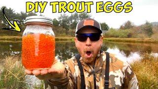 Stocked Trout Fishing with DIY Trout Eggs (Trout Cheat Code!)