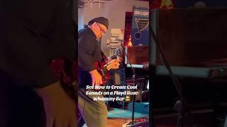 Playing Texas Blues while making Flutters & Flickers on my Floyd Rose Whammy Bar #drguy