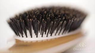 Divine® Brush Collection | Olivia Garden