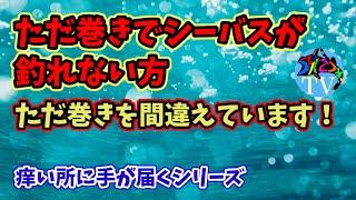 ただ巻きでシーバスが釣れない誰も教えてくれない間違い教えます！【初心者】必見