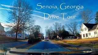 Senoia, Georgia - Drive Tour | 4K USA