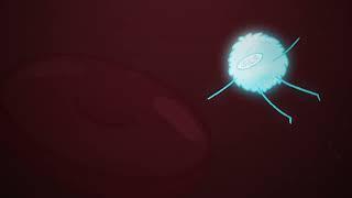 Phy The Neutrophil has LORE