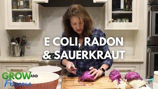 E. Coli | Radon | How to Make Fermented Sauerkraut