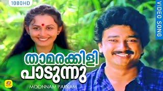 താമരക്കിളി പാടുന്നു  | Thamarakkili Paadunnu | Evergreen Romantic  Song | Moonnam Pakkam | Chithra