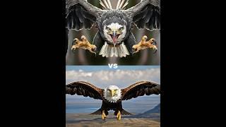 Harpy eagle vs Eagle Bird vs ( falcon, crow,  owl, seagull, Duck, toucan bird, Macow, pigeon).