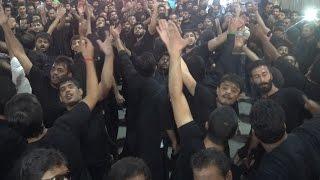 Sajjad Di Pak Jawani | Chakwal Party | 9th Muharram 1438 | Karbala, Iraq