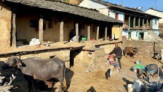 Village Life in Uttarakhand | उत्तराखंड के पुराने घर व गाँव | The Young Monk |