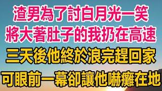 渣男為了討白月光一笑，將大著肚子的我扔在高速取樂，三天後他終於浪完趕回家看我，可眼前一幕，卻讓他當場嚇癱在地#情感故事 #生活經驗 #两性情感#家庭故事#完结文 #完结 #爽文 #爽文完结