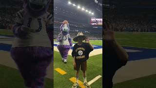 Mascot is hitting cream of peoples