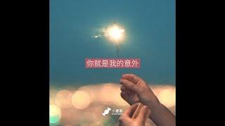 【小感動。情感語錄】你就是我的意外