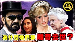 公主出逃，王妃落跑，出軌保鏢，各国王室不愿公之于众的秘密！1小时无广告合集  [脑洞乌托邦 | 小乌副频道 | 小乌 TV ]