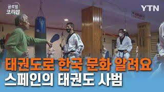 태권도 통해 스페인에 한국 문화 뿌리 내린 사범 [글로벌 코리안] / YTN korean