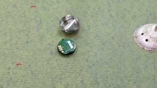 How to make iButton-based robolimpets