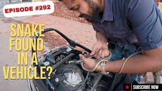 SNAKE RESCUE #292