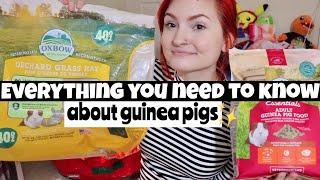 GUINEA PIG CARE GUIDE