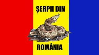 ȘERPII DIN ROMÂNIA