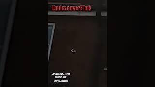 UAP MIMICS BIRD AND VANISHES THROUGH A BRICK WALL!  #uap #unearthedsecrets #wow #amazing #ghost #omg