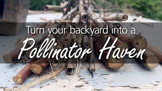 Creating a Pollinator Friendly Habitat