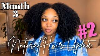 3 MONTH NATURAL HAIR UPDATE | NATURAL HAIR GROWTH + NEW HAIR PRODUCTS