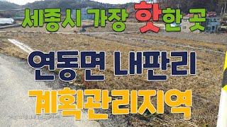 (거래완료)연동면 내판리 계획관리 답 313평