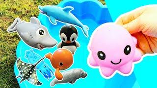 Kids Learn | Sea Animal Names & Facts for Babies Toddlers: Clownfish Octopus Penguin