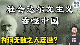 为何无敌之人泛滥中国？！万恶之源是社会达尔文主义？中国政府为何妖魔化平权运动? | 落后就要挨打 | LGBT | 女权