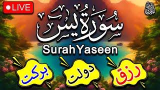 Surah Yasin ( Yaseen ) with English Translation | Quran Tilawat Beautiful Voice | Ep 229