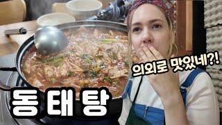 American Wife Met Subscriber & The BIGGEST Garden in KOREA - Top Must See Destination 