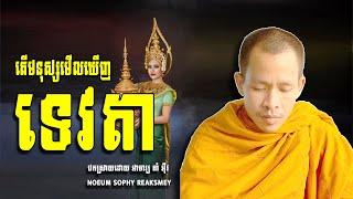 តើមនុស្សអាចមើលឃើញទេវតាអត់? | ភិក្ខុចន្ទប្បិយោ រីម ចាន់រ៉ា | #rimchanra  #ចេញវស្សា #កថិនទាន