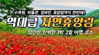 역대급 자연휴양림 국내 1박2일 여행 코스 가볼만한곳 베스트 6 (아산 영인산 자연휴양림, 영인산 수목원, 산림박물관, 아산 맛집과 아산 카페 등)