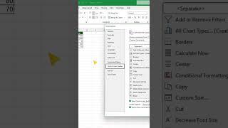 What's Behind Excel's AMAZING Camera Feature? 