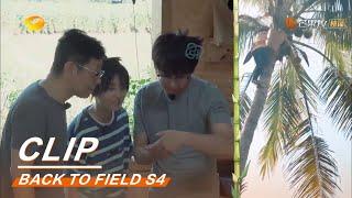 Zhang Zifeng’s non-topic photography.《向往的生活4》Back to field S4 EP9【MGTV English】