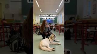 #lehrerin #lehramtsstudium #grundschule #grundschullehrerin #dogmom #lebenmithund #hund #schule