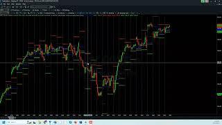 Tutorial Using Persons Daily Pivots