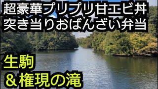 豪華たっぷり生の甘エビ丼＆隠れ家的おばんざい弁当【奈良 生駒市】