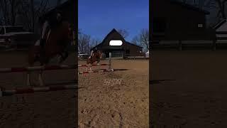 From a few weeks ago! Going in vacay so I can’t ride, enjoy old vids  🫶#equestrian #fypシ #frito