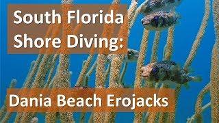 South Florida Shore Diving: Dania Beach Erojacks